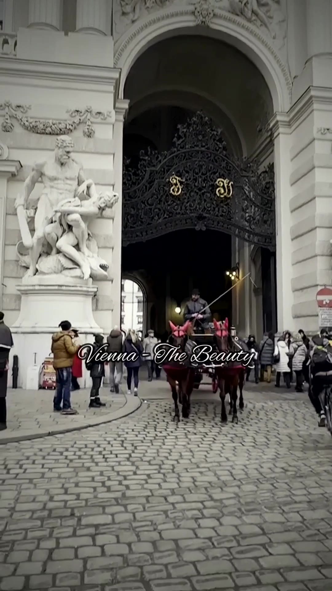 Vienna Travels
